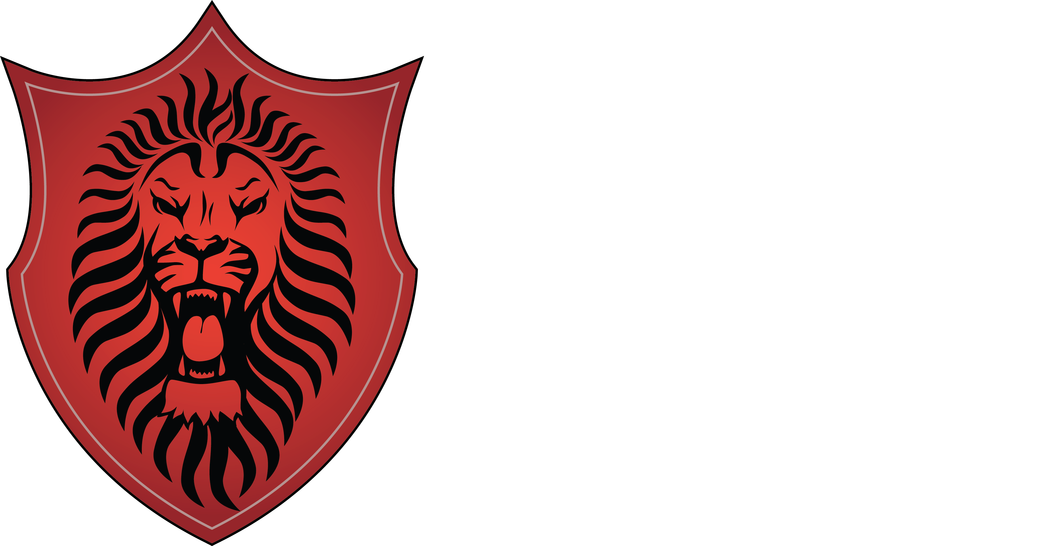 RNS Technology Services | Top Cyber Security Company